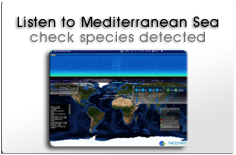 Listen here to Mediterranean Sea Real Time